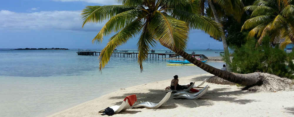 The Island of Moorea in the South Pacific