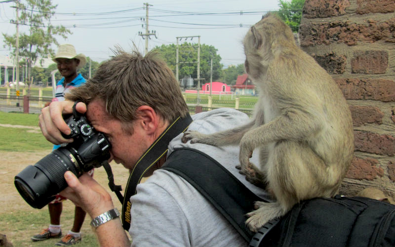 Getting groomed by a monkey