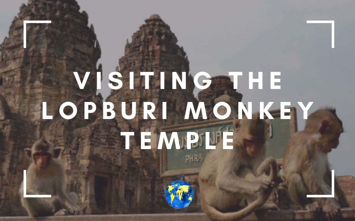 How to visit the Thailand Monkey Temple