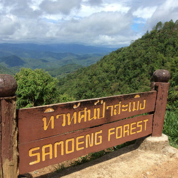 View from the Samoeng Forest Viewpoint