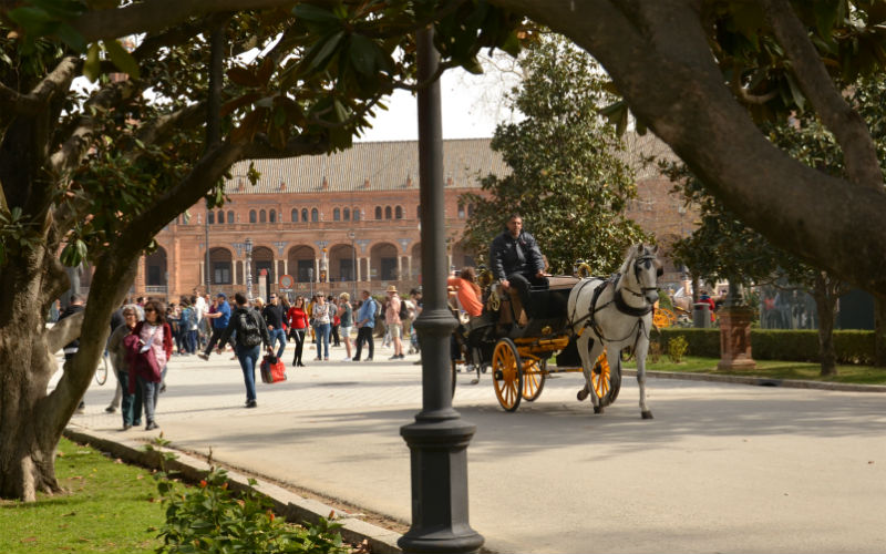 Horse ride in Seville