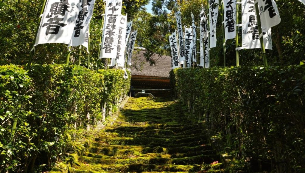 The Moss covered stairs of Sugimoto Dera