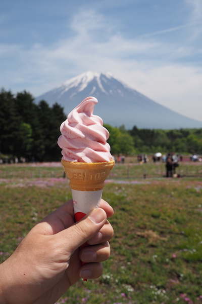 A soft serve ice cream at The Fuji Shibazakura Flower Festival