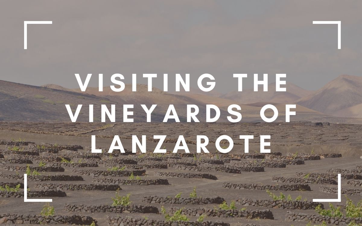 How to visit the Lanzarote Vineyards