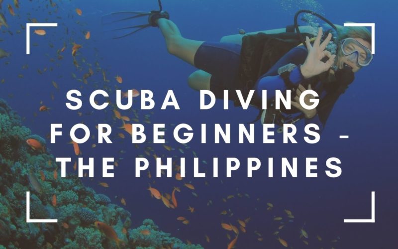 Scuba Diving for Beginners The Philippines Edition The Travel Blogs