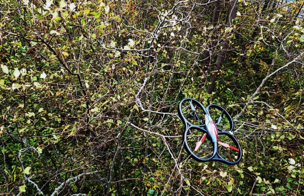 A drone stuck in a tree as they may be hard to fly