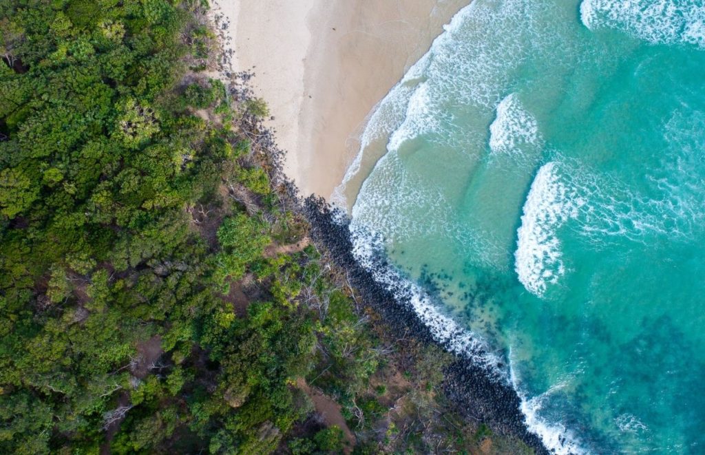 A photo taken by a drone of a beach meeting the forest