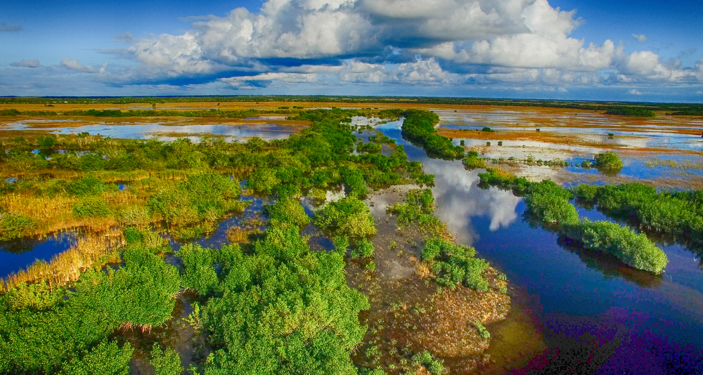 The Everglades National Park from up high