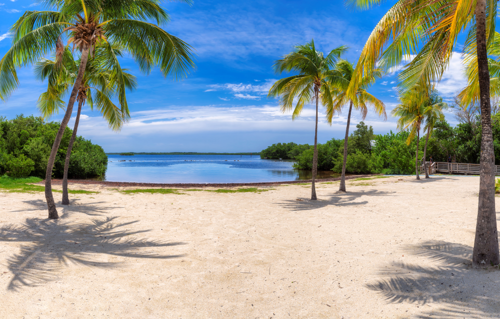 A beach in the Florida Keys