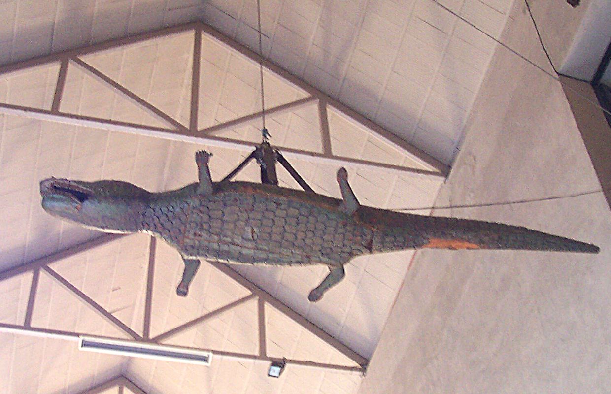 A photo of El Largito, a crocodile hanging from the Seville Cathedral's ceiling.