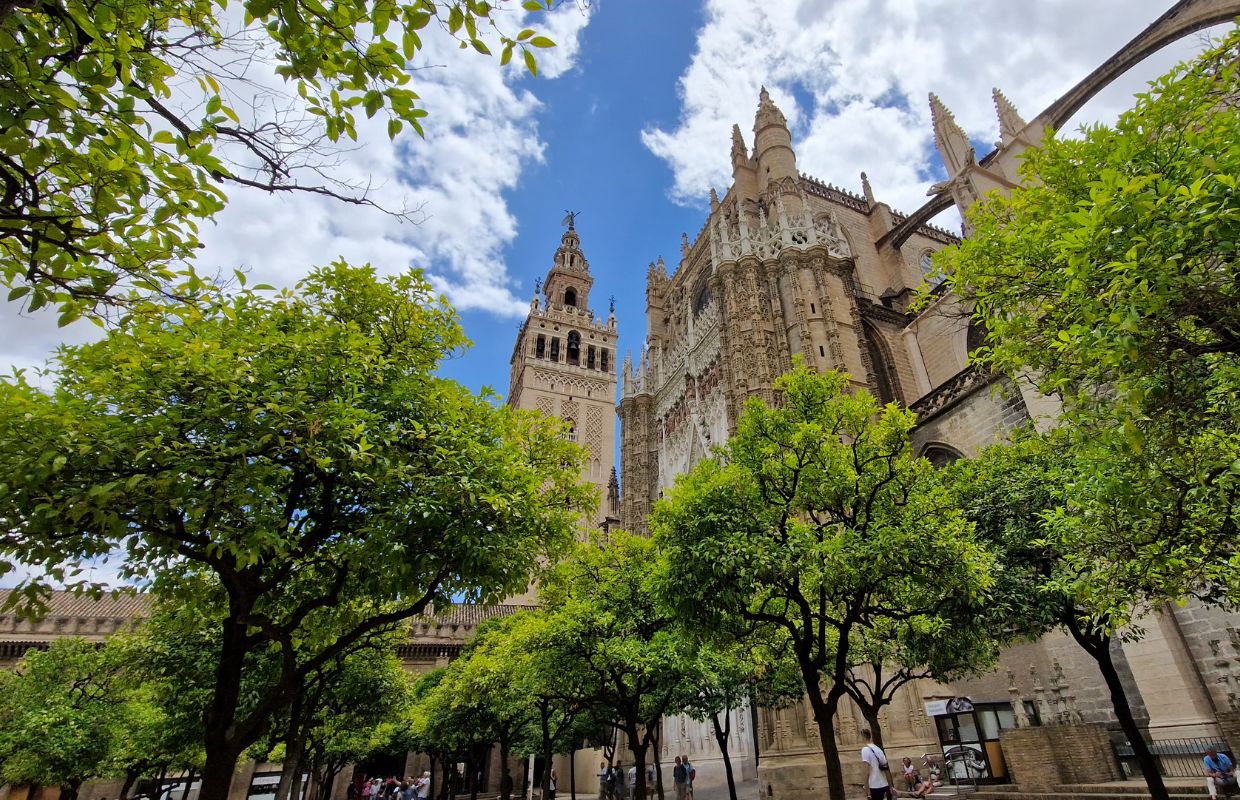 Looking up to the Giralda Bell Tower from the Patio de Los Naranjos