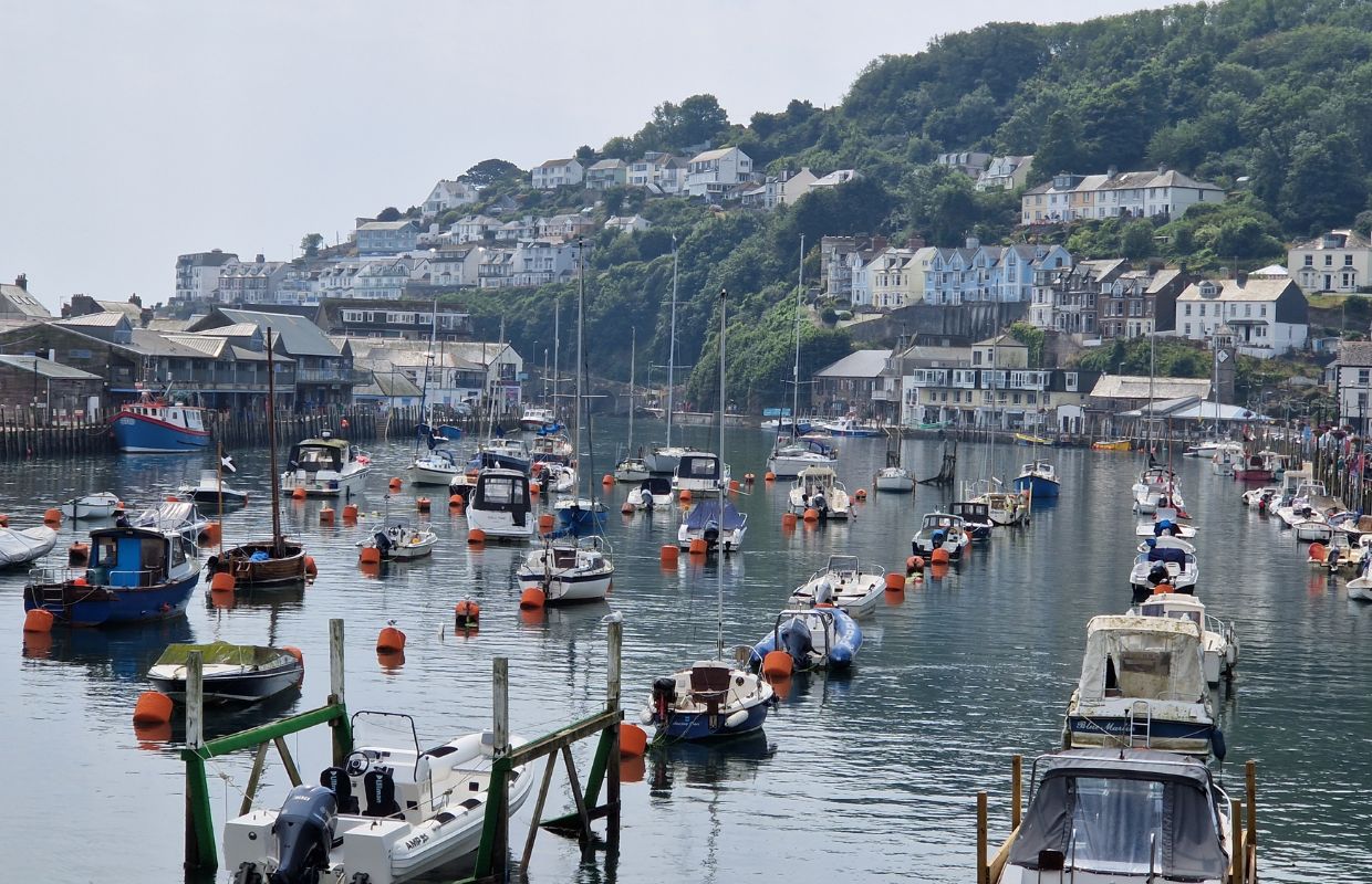 Boats tied up in the Looe harbour