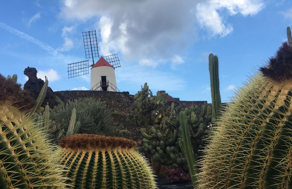 The windmill at The Jardin de Cactus in Lanzarote