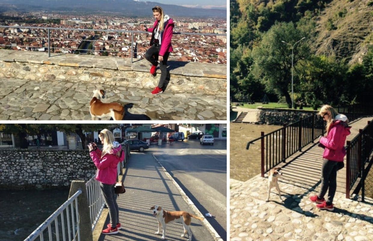 Me being followed by a dog that I met while enjoying my Kosovo Itinerary.