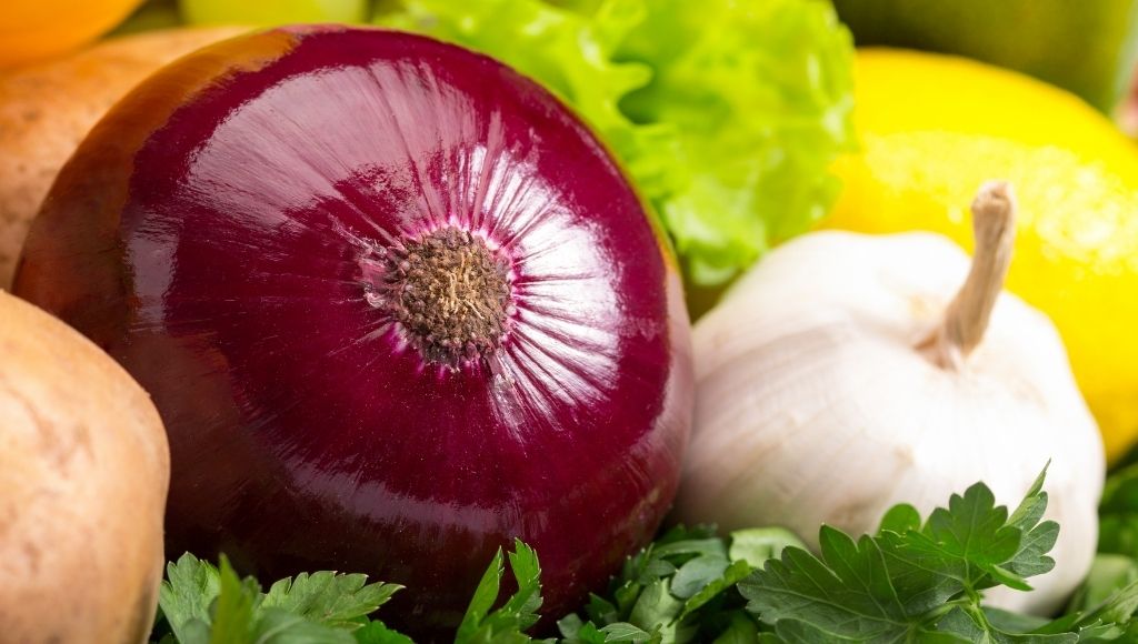 some colorful garlic, onion and citrus fruits