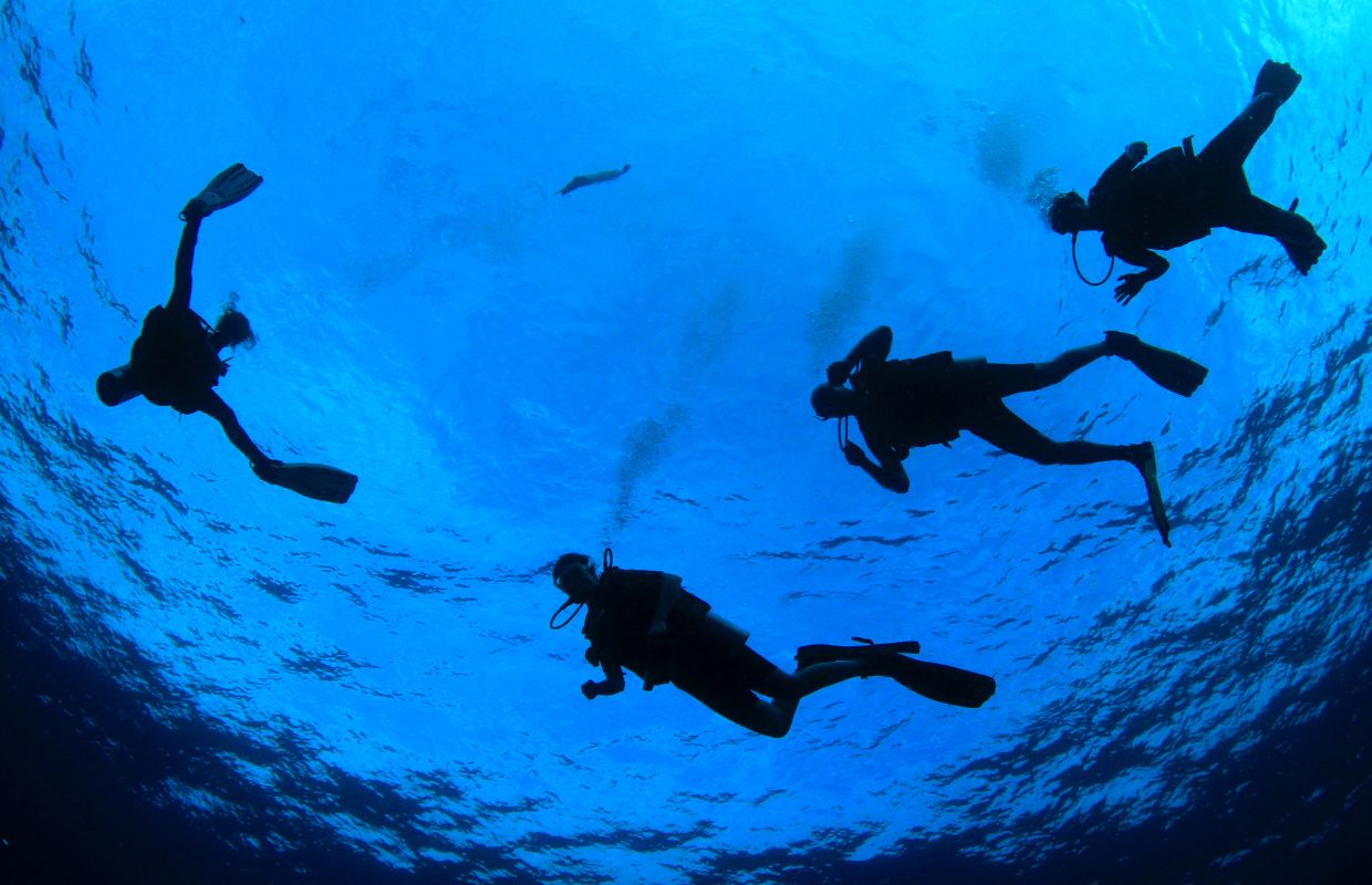 Looking up at 4 people scuba diving