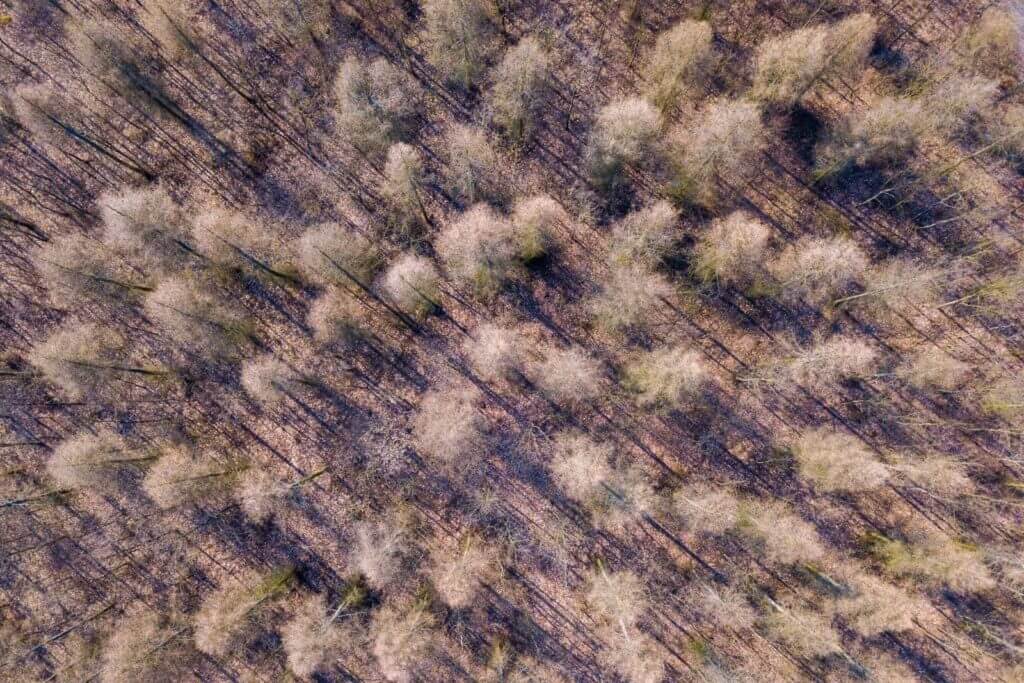 Drone wilderness shots