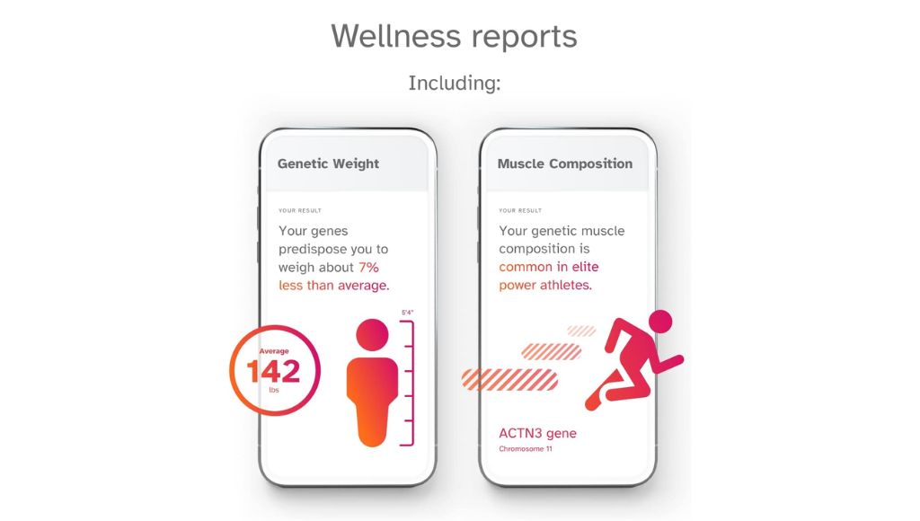 Wellness report showing on smartphone