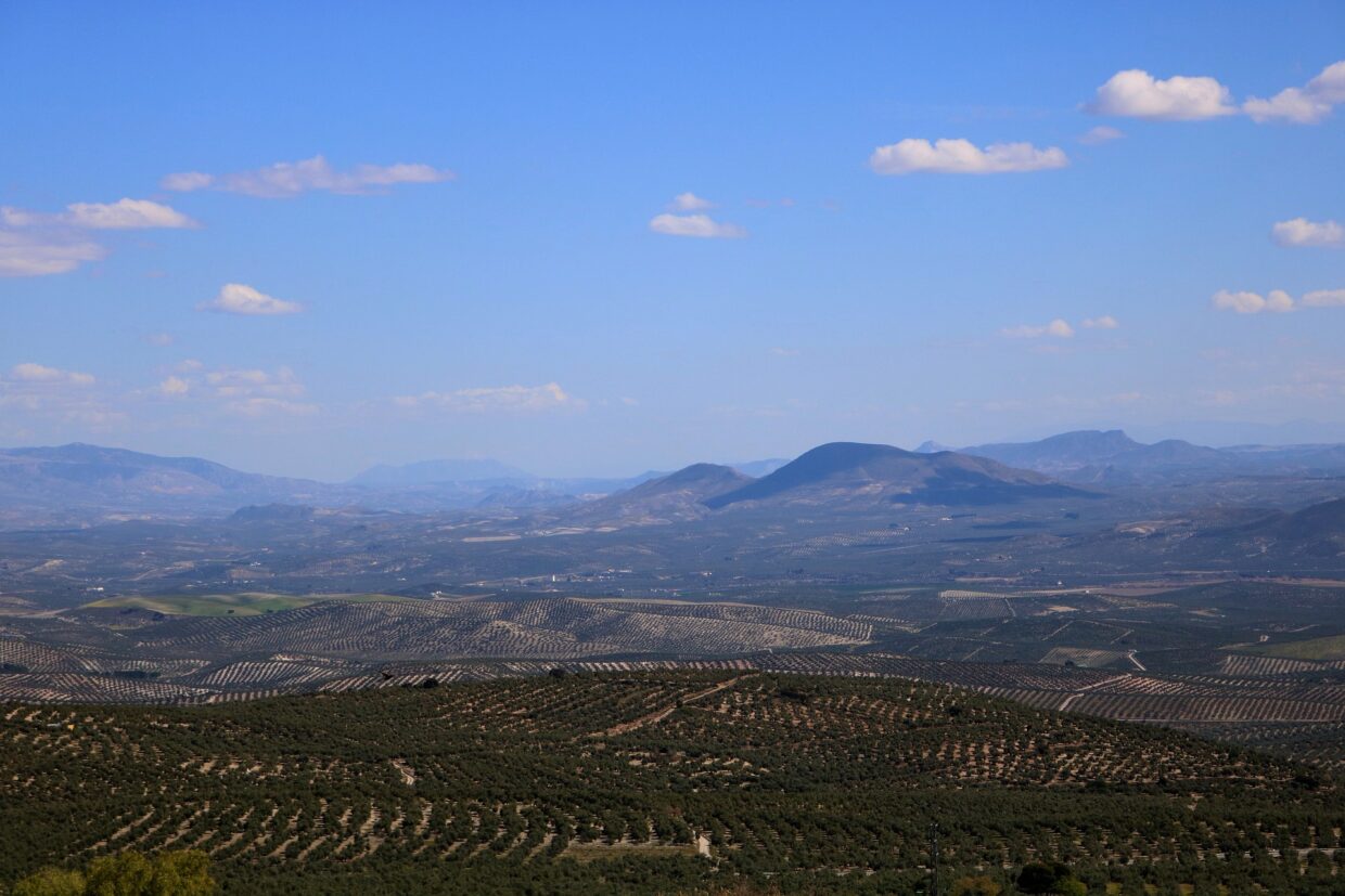 landscape-Baeza-Spain