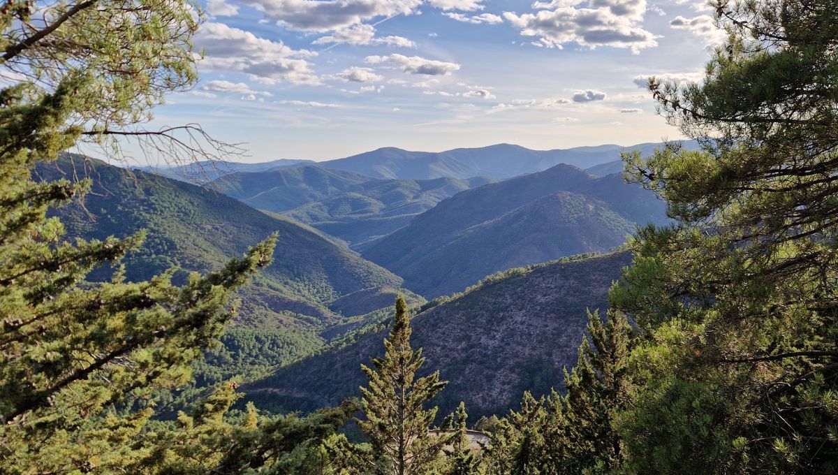 Views across the Sierra Francia Mountains