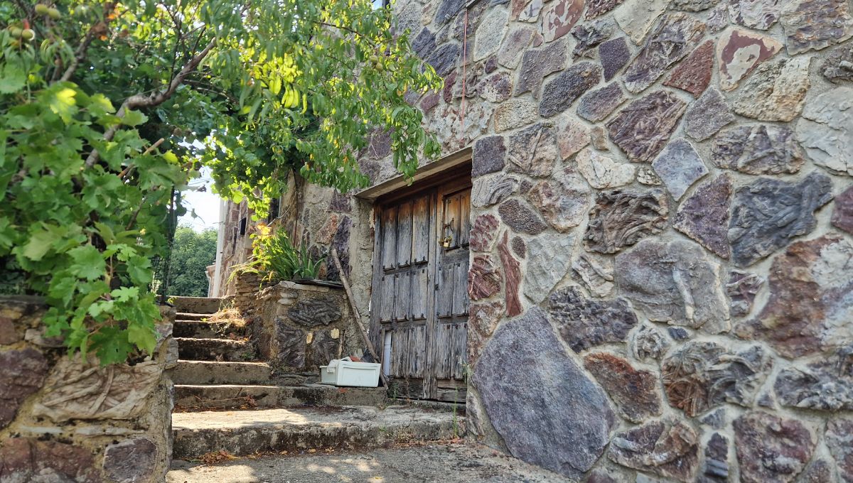 An old house with fossils in the walls