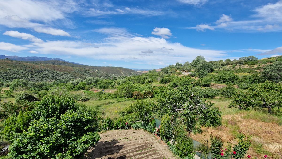 The surrounding countryside of Monsagro