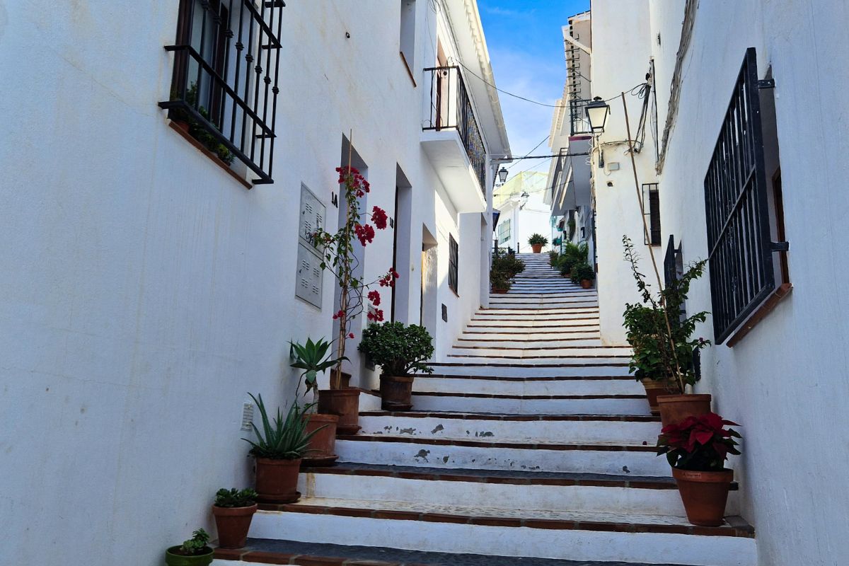 One of the many stepped lanes and alley ways adorned by plants either side in the Andalusian white village Frigiliana