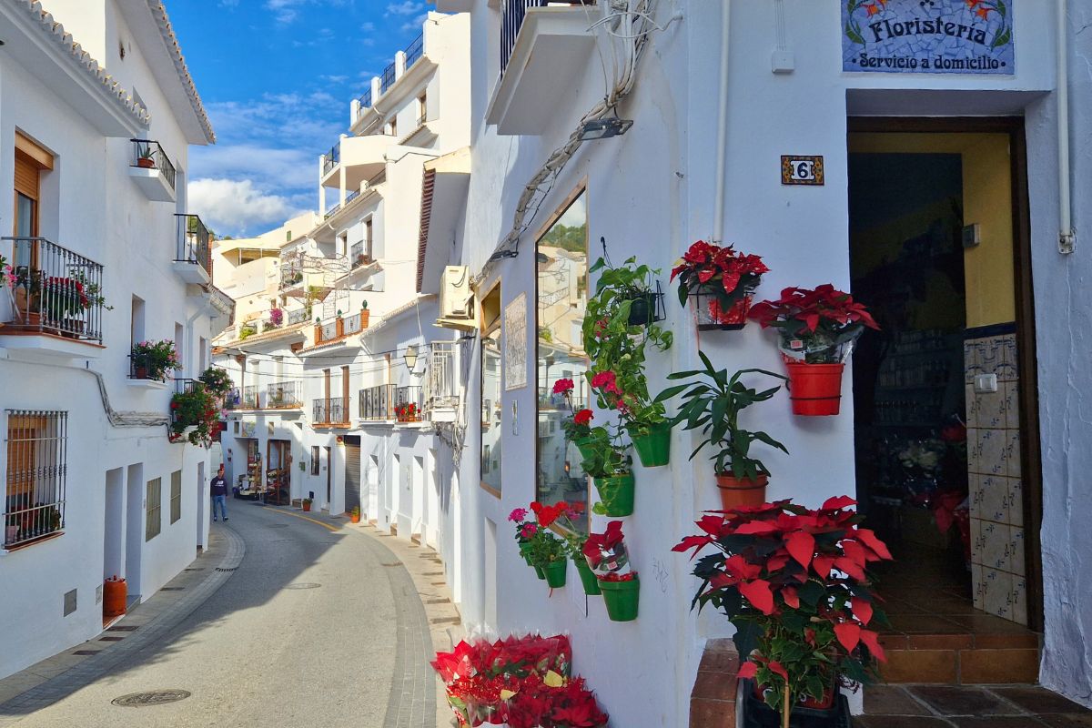 A florist shop with red plants among the whitewashed streets fo Andalusian white village Frigiliana